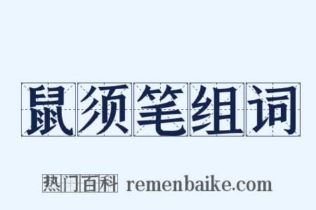 鼠须笔组词是什么意思的图片